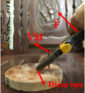 Để nhổ một chiếc đinh ra khỏi tấm gỗ, người ta sử dụng một chiếc búa nhổ đinh hoặc một chiếc kìm (hình 19.11). Em hãy: a. Mô tả cách dùng hai dụng cụ này để nhổ đinh. (ảnh 5)