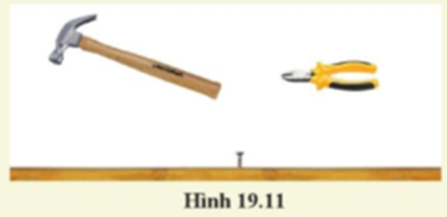 Để nhổ một chiếc đinh ra khỏi tấm gỗ, người ta sử dụng một chiếc búa nhổ đinh hoặc một chiếc kìm (hình 19.11). Em hãy: a. Mô tả cách dùng hai dụng cụ này để nhổ đinh. (ảnh 1)