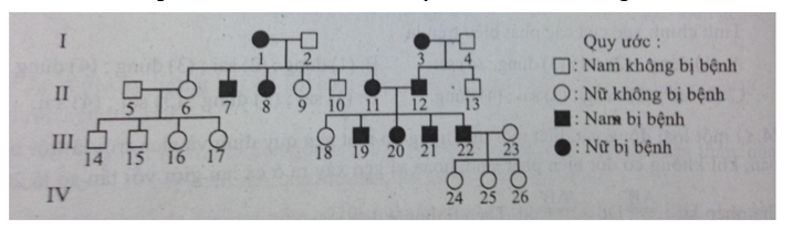 Sơ đồ phả hệ sau mô tả sự di truyền của 1 bệnh ở người:  Biết rằng bệnh này do 1 trong 2 (ảnh 1)