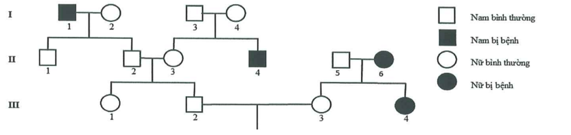 Phả hệ sau đây mô tả sự di truyền bệnh phêninkêtô niệu ở người do một trong hai alen của một gen quy định. Theo lí thuyết,  (ảnh 1)