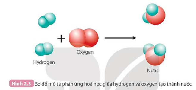 Quan sát Hình 2.3 và trả lời câu hỏi:   1. Trước và sau phản ứng, những nguyên tử nào liên kết với nhau? (ảnh 1)