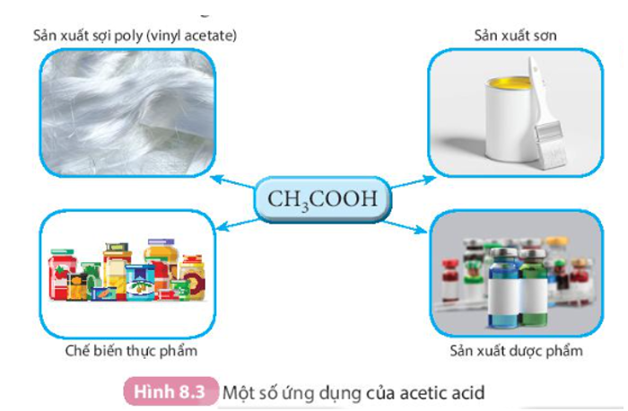 Sử dụng Hình 8.3 để trình bày về các ứng dụng của acetic acid.   (ảnh 1)