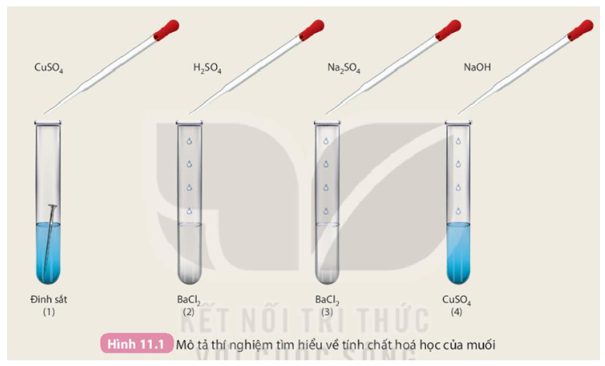 BaCl2 Tác Dụng Với CuSO4 - Phản Ứng Hóa Học và Ứng Dụng