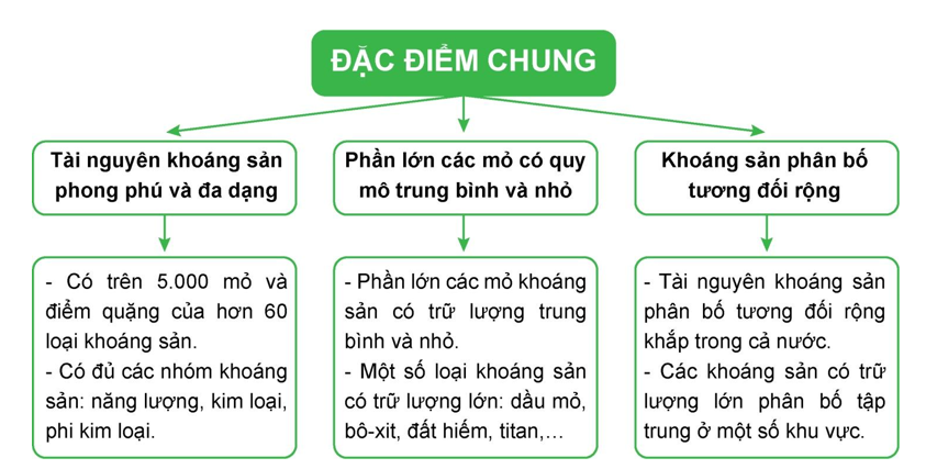 Hoàn thành sơ đồ thể hiện các đặc điểm chung về tài nguyên khoáng sản Việt Nam theo gợi ý dưới đây: (ảnh 2)