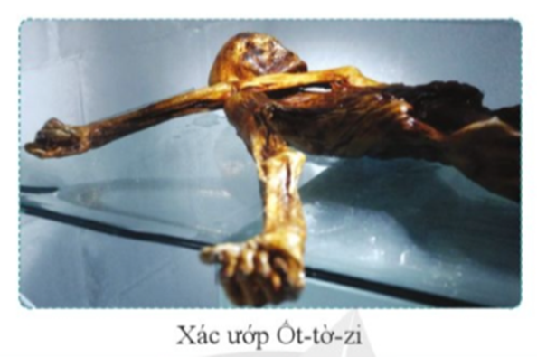 Vào năm 1991, các nhà khoa học đã phát hiện ra xác ướp Otzi (Ốt – tờ - zi) – xác ướp tự nhiên được tìm thấy trong tuyết lạnh (có niên đại cách đây 5 300 năm)  (ảnh 1)