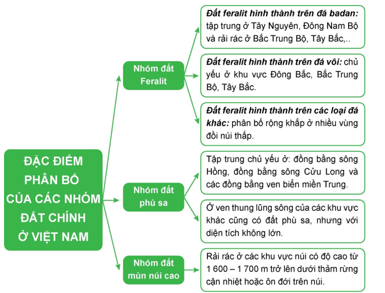 Lập sơ đồ thể hiện đặc điểm phân bố 3 nhóm đất chính  của nước ta (ảnh 1)