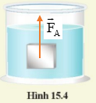 Biểu diễn lực đẩy Acsimet tác dụng vào vật đặt trong chất lỏng (hình 15.4). (ảnh 2)