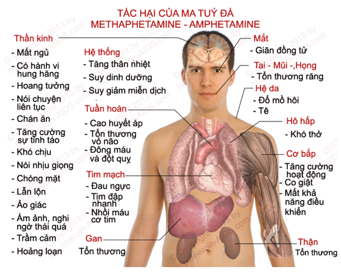 Thiết kế tờ rơi/ bài trình bày để tuyên truyền cho mọi người tác hại của sử dụng chất gây nghiện. • Bước 1: Tìm hiểu thông tin về tác hại của chất gây nghiện. (ảnh 1)