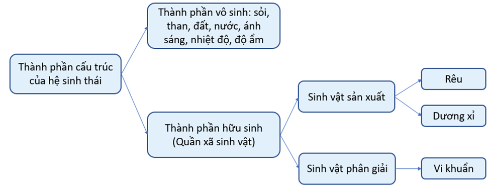 Thiết kế mô hình hệ sinh thái từ các nguyên vật liệu dễ kiếm: • Nêu cách thức tiến hành. • Nêu các thành phần của hệ sinh thái đó theo gợi ý sau:  (ảnh 2)