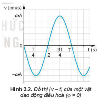 Trong các khoảng thời gian từ 0 đến T/4 , T/4 từ T/2 đến 3T/4 , từ T/2 đến 3T/4 , từ 3T/4  đến T, vận tốc của dao động điều hoà thay đổi như thế nào? (ảnh 1)