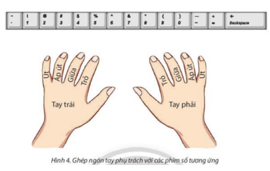 Hãy ghép mỗi ngón tay phụ trách với các phím số tương ứng ở Hình 4. (ảnh 1)