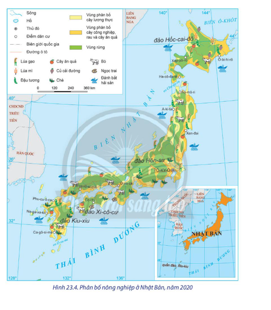 Dựa vào hình 23.4 và thông tin trong bài, hãy:  - Trình bày tình hình phát triển ngành nông nghiệp của Nhật Bản. (ảnh 1)