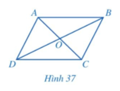Cho hình bình hành ABCD (Hình 37).  a) Hai tam giác ABD và CDB có bằng nhau hay không? Từ đó, hãy so sánh các cặp đoạn thẳng: AB và CD; DA và BC.  (ảnh 1)