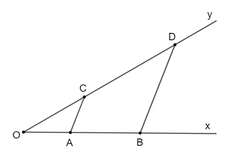 Cho góc xOy. Trên tia Ox, lấy hai điểm A và B sao cho OA = 2 cm, OB = 5 cm. (ảnh 1)