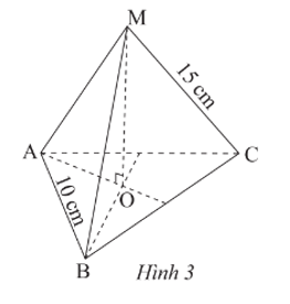 Hãy cho biết mặt bên, mặt đáy, đường cao, độ dài cạnh bên, độ dài cạnh đáy của hình chóp tam giác đều ở Hình 3. (ảnh 1)
