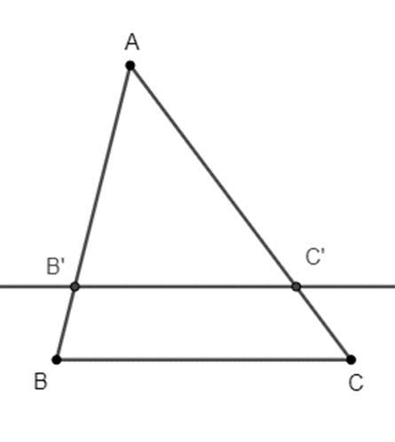 Định lý talet trong tam giác (ảnh 1)