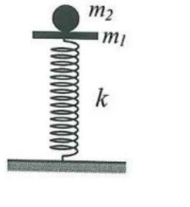 Một con lắc lò xo đặt thẳng đứng gồm lò xo nhẹ có độ cứng k=100N/m và một vật nhỏ m1 có khối lượng 200g (ảnh 1)
