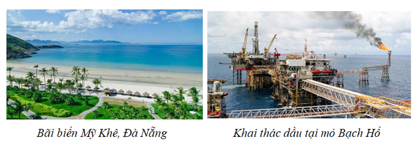 Sưu tầm một số thông tin về môi trường biển đảo Việt Nam (ảnh 1)
