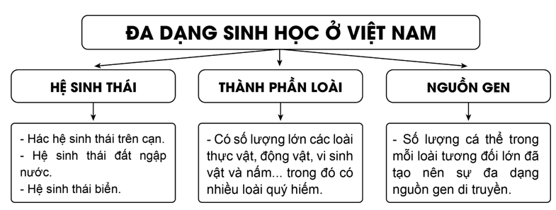 Hãy vẽ sơ đồ để chứng minh sự đa dạng sinh học ở Việt Nam. (ảnh 1)