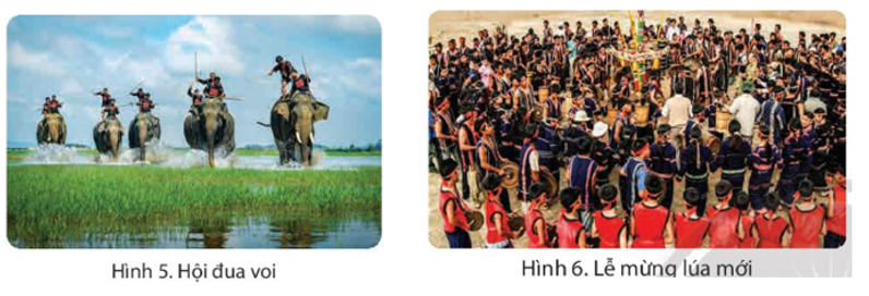 Quan sát các hình 5, 6 và đọc thông tin, em hãy nêu một số nét chính về lễ hội đua voi và lễ hội mừng lúa mới ở Tây Nguyên. (ảnh 1)