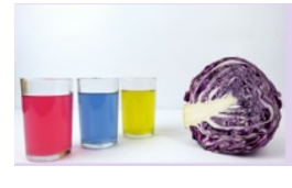 Nước ép bắp cải tím có nhiều màu sắc phụ thuộc vào pH. Em hãy thiết lập bảng màu  (ảnh 1)