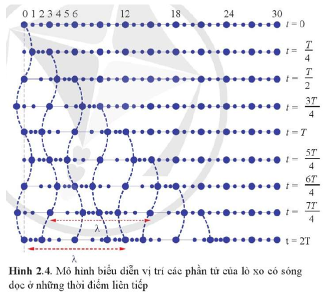 So sánh trạng thái chuyển động của phần tử số 12 ở thời điểm 5T/4 trong Hình 1.4 và Hình 2.4. (ảnh 2)