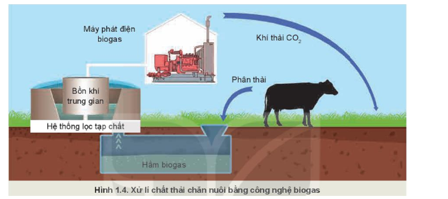 Quan sát Hình 1.4 và nêu ý nghĩa của việc ứng dụng công nghệ biogas trong xử lí chất thải chăn nuôi (ảnh 1)
