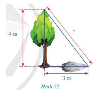 Hình 72 mô tả một cây cao 4 m. Biết rằng khi trời nắng, cây đổ bóng trên mặt đất, điểm xa nhất của bóng cây cách gốc cây một khoảng là 3 m. Tính khoảng cách từ điểm xa nhất của bóng cây đến đỉnh 4 m của cây.    (ảnh 1)