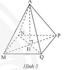 Cho hình chóp tứ giác đều A.MNPQ (Hình 5).  a) Hãy cho biết đỉnh, cạnh bên, mặt bên, cạnh đáy, mặt đáy, đường cao của hình chóp tứ giác đều đó. (ảnh 1)