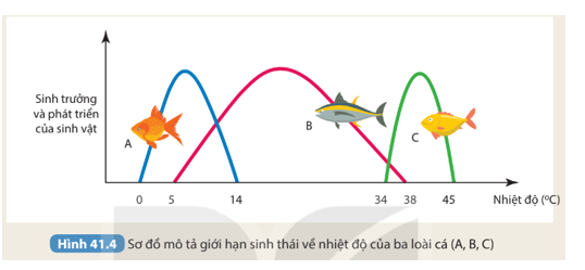 Ở một địa phương, người ta có ý định nhập nội ba loài cá (A, B, C) về nuôi. Nhiệt độ trung bình trong năm tại đây dao động từ 15 oC đến 30 oC. Dựa vào thông tin về giới hạn sinh thái nhân tố nhiệt độ của mỗi loài cá (Hình 41.4), hãy cho biết nên nhập loại cá nào để nuôi tại đây và giải thích. (ảnh 1)