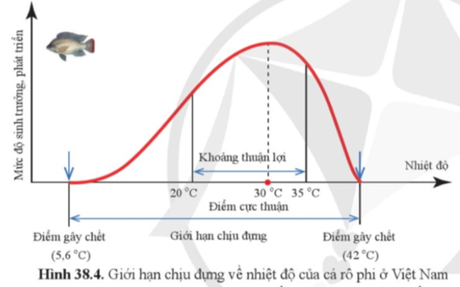 Quan sát hình 38.4 và cho biết cá rô phi có thể: a) Tồn tại được trong khoảng nhiệt độ nào? b) Sinh trưởng, phát triển thuận lợi ở khoảng nhiệt độ nào? c) Sinh trưởng, phát triển tốt nhất ở nhiệt độ nào? (ảnh 1)