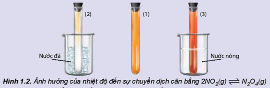 Chuẩn bị: 3 ống nghiệm chứa khí NO2 nút kín có màu giống nhau, cốc nước đá, cốc nước nóng. Tiến hành: - Ống nghiệm (1) để so sánh. - Ngâm ống nghiệm (2) vào cốc nước đá trong khoảng 1 – 2 phút. (ảnh 1)
