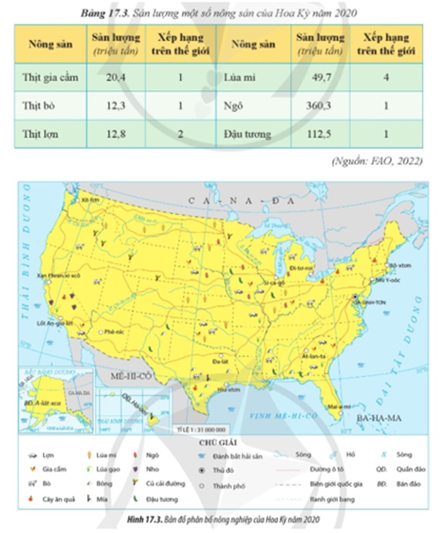 Xác định sự phân bố một số cây trồng và vật nuôi chính của Hoa Kỳ trên bản đồ (ảnh 1)