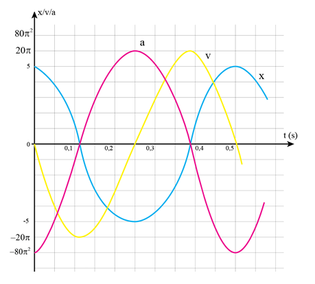 Phương trình dao động của một vật là x = 5cos 4 pi t ( cm) . Hãy viết phương trình vận tốc, gia tốc và vẽ đồ thị li độ, vận tốc, gia tốc theo thời gian của vật. (ảnh 1)