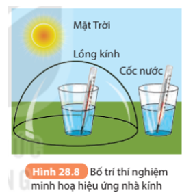 Tại sao trong thí nghiệm Hình 28.8, nhiệt độ của cốc nước đặt trong lồng kính lại cao hơn nhiệt độ của cốc nước đặt ngoài lồng kính?   (ảnh 1)
