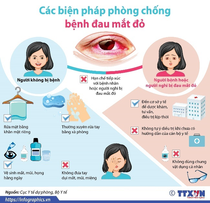 Thiết kế tờ rơi/ bài trình bày để tuyên truyền tới bạn bè, người thân trong gia đình cách phòng tránh các bệnh về mắt.  (ảnh 1)