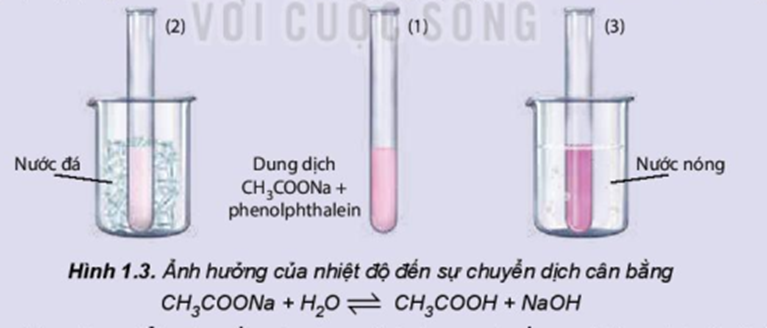 Chuẩn bị: dung dịch CH3COONa 0,5M, phenolphthalein; cốc nước nóng, cốc nước đá, 3 ống nghiệm. Tiến hành:  (ảnh 1)