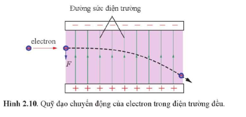 Trong Hình 2.10, nếu tốc độ ban đầu của electron trong điện trường bằng không thì nó (ảnh 1)