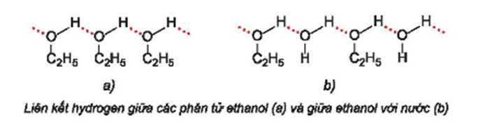 Các hợp chất propane, dimethyl ether và ethanol có phân tử khối tương đương nhau và có một số tính chất như sau:   Hãy giải thích tại sao ethanol có nhiệt độ sôi cao hơn và tan trong nước tốt hơn so với hai chất còn lại. (ảnh 2)