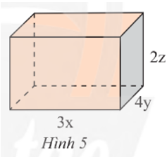 Viết biểu thức biểu thị thể tích V và diện tích xung quanh S của hình hộp chữ nhật trong Hình 5. Tính giá trị của V, S khi x = 4 cm, y = 2 cm và z = 1 cm. (ảnh 1)