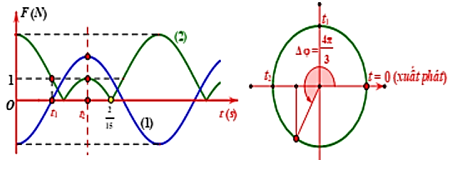 Một con lắc lò xo treo thẳng đứng, kích thích cho con lắc dao động điều hòa với biên độ A. Đồ thị (1) biểu diễn lực hồi phục phụ thuộc vào thời gian. Đồ thị (2) biểu diễn độ lớn lực đàn hồi phụ thuộc vào thời gian. Lấy g = 10 m/s2 và π2 = 10. Độ cứng của lò xo là   (ảnh 2)