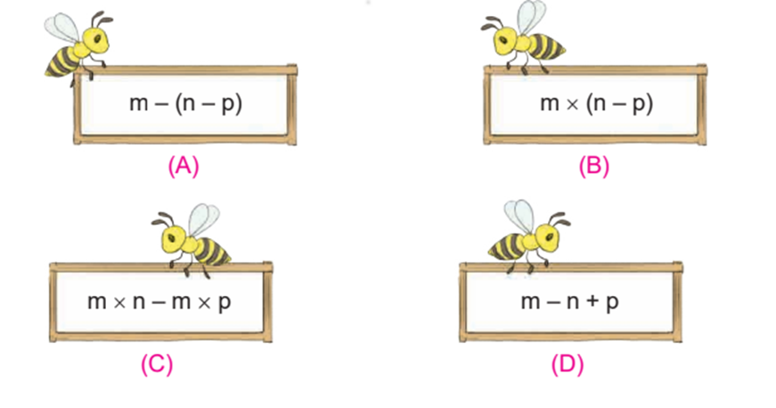 Với m = 9, n = 6, p = 4, hai biểu thức nào có giá trị bằng nhau (ảnh 1)