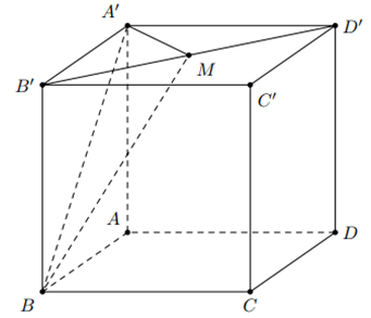 Cho hình lập phương ABCD.A'B'C'D' có cạnh bằng a, gọi anpha là góc giữa đường thẳng A'B và mặt phẳng (BB'D'D). Tính sin anpha (ảnh 1)