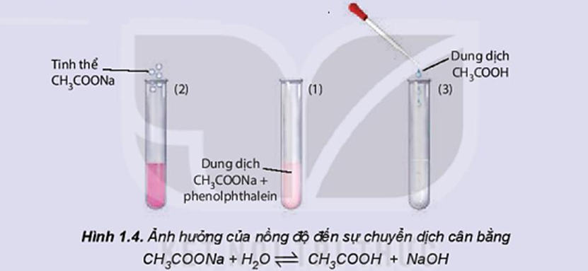 Thí nghiệm nghiên cứu ảnh hưởng của nồng độ đến sự chuyển dịch cân bằng trên được thực hiện như sau: - Cho một vài giọt phenolphthalein vào dung dịch CH3COONa (ảnh 1)