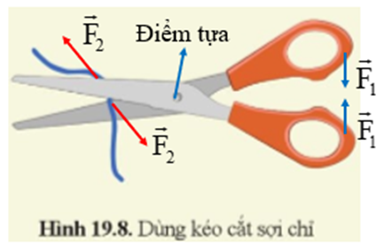 Quan sát hình 19.8 và cho biết đâu là đòn bẩy, đâu là điểm tựa và chỉ ra sự thay đổi hướng của lực trong hình. (ảnh 2)