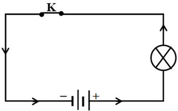 Vẽ sơ đồ mạch điện để mô tả cách mắc các bộ phận chính của đèn pin: hai pin, bóng đèn, công tắc và các dây nối. (ảnh 1)