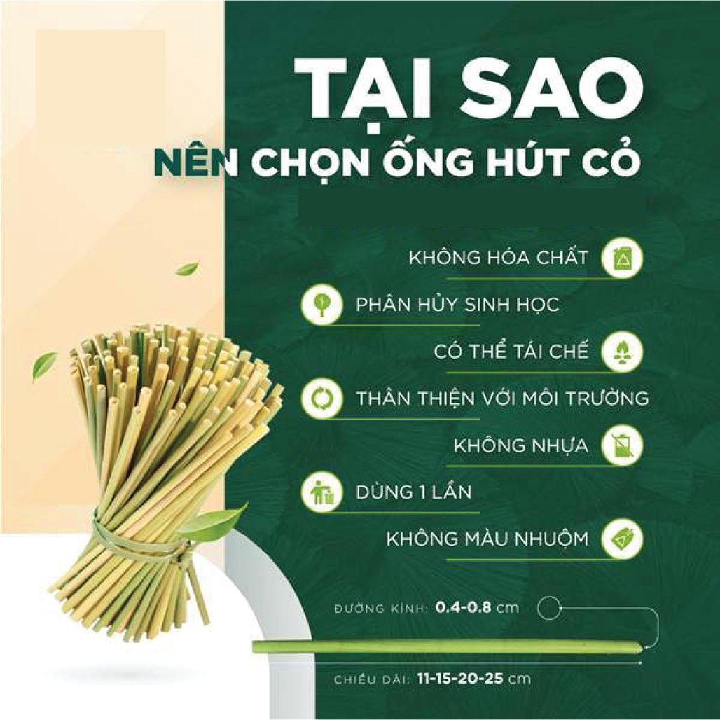 Em hãy cùng bạn xây dựng một sản phẩm để tuyên truyền, quảng bá các hàng hóa Việt  (ảnh 1)