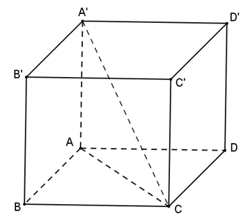 Cho khối hộp chữ nhật có hai kích thước là 2; 3 và độ dài đường chéo bằng 5. Thể tích khối hôp đã cho bằng (ảnh 1)
