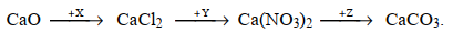Cho sơ đồ chuyển hoá sau:   Công thức của X, Y, Z lần lượt là:         A. HCl, HNO3, Na2CO3. (ảnh 1)