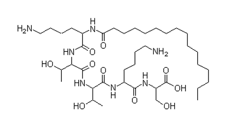 Hợp chất palmitoyl pentapeptit-4 (chất X) là một peptit có tác dụng kích thích sản sinh collagen, elastin (ảnh 1)